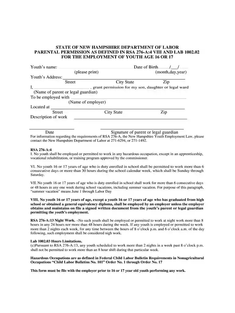 nh youth employment parental permission form Preview on Page 1