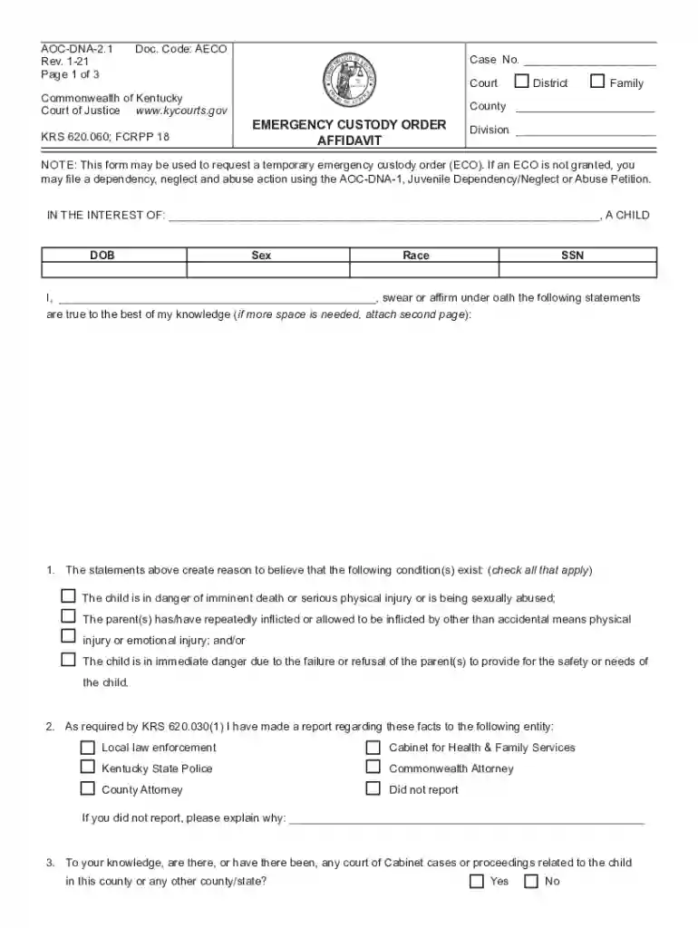 free printable child custody forms kentucky Preview on Page 1