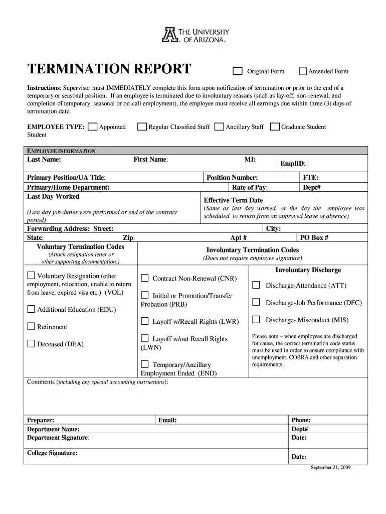 termination report template Preview on Page 1