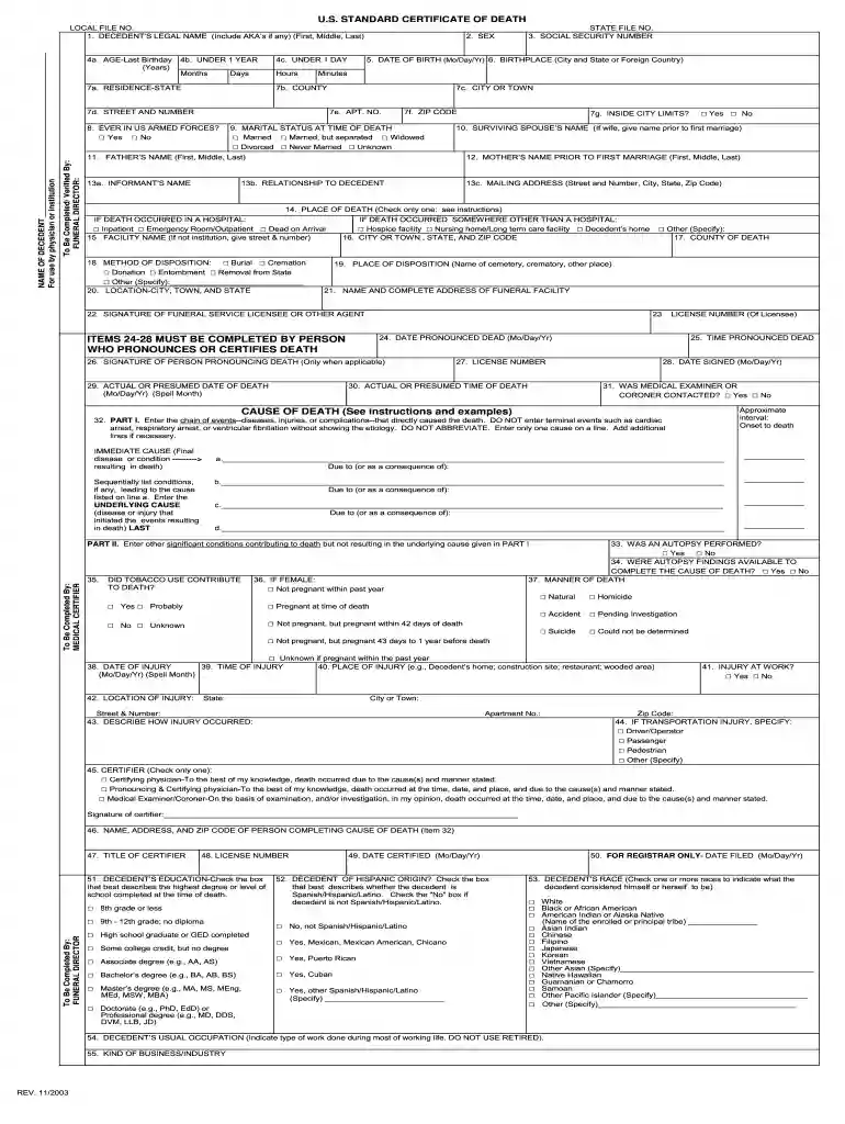 create a death certificate free Preview on Page 1