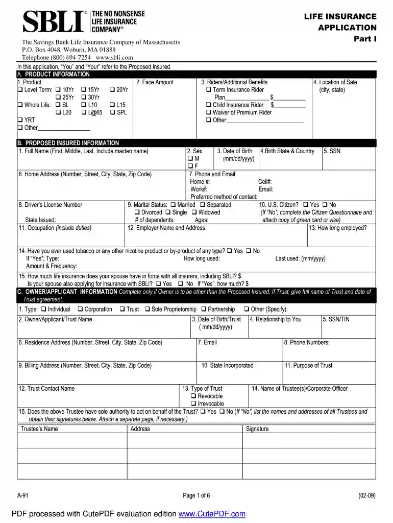 sbli application Preview on Page 1