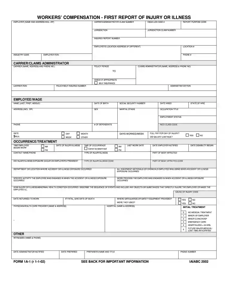 workers compensation first report Preview on Page 1