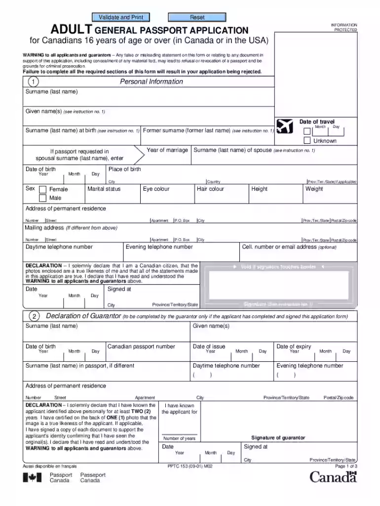adult general passport application Preview on Page 1