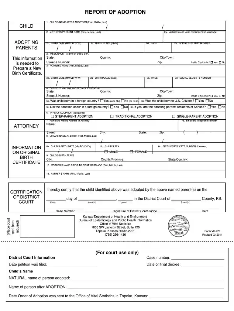 adoption paperwork Preview on Page 1