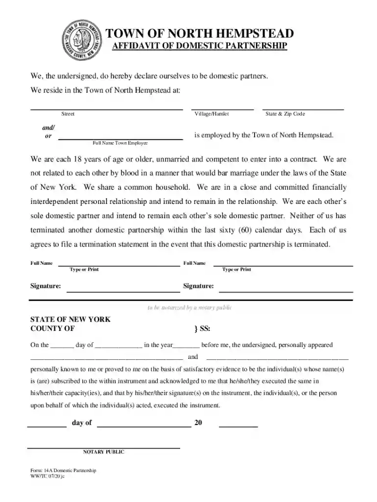 domestic partnership nyc Preview on Page 1