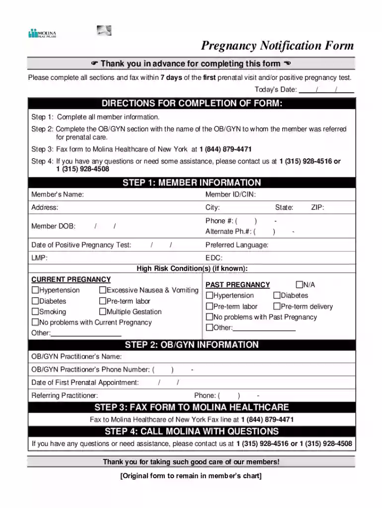 pregnancy notification form Preview on Page 1