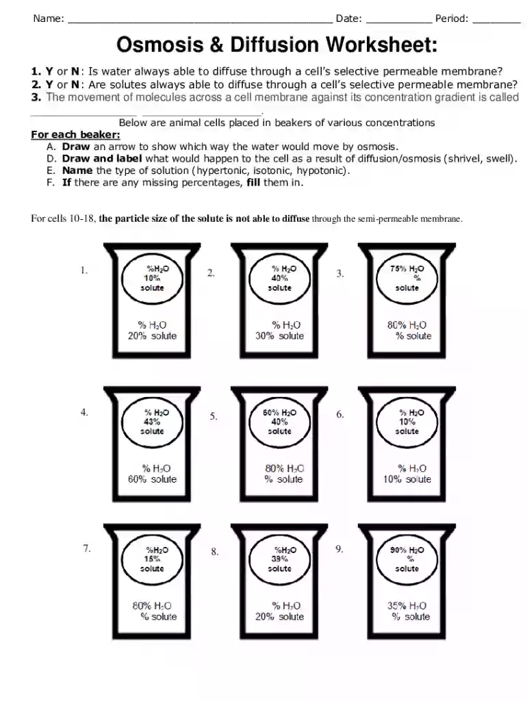 osmosis worksheet Preview on Page 1