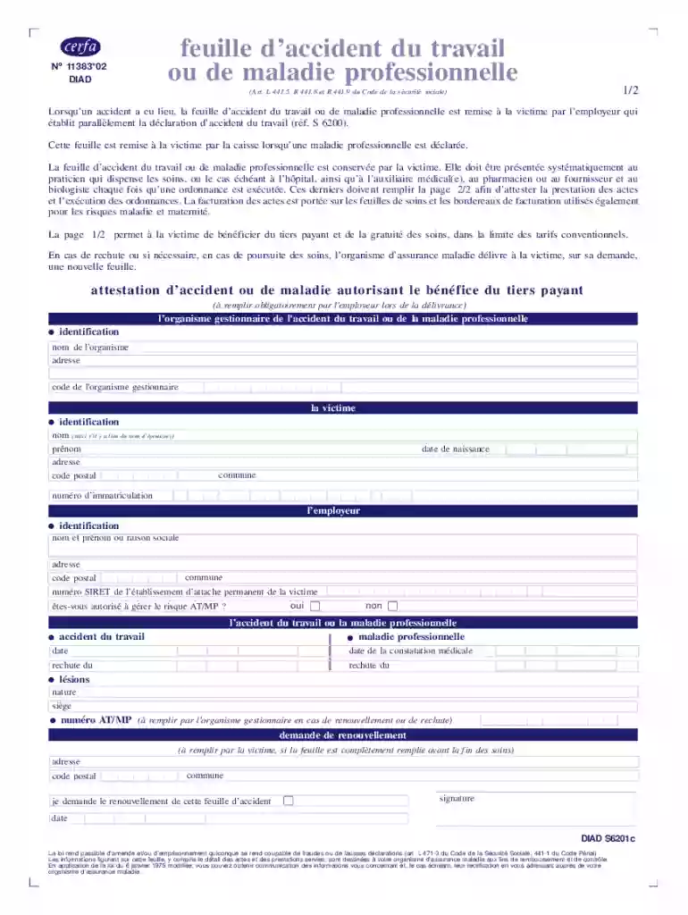 feuille de soins accident du travail pdf Preview on Page 1