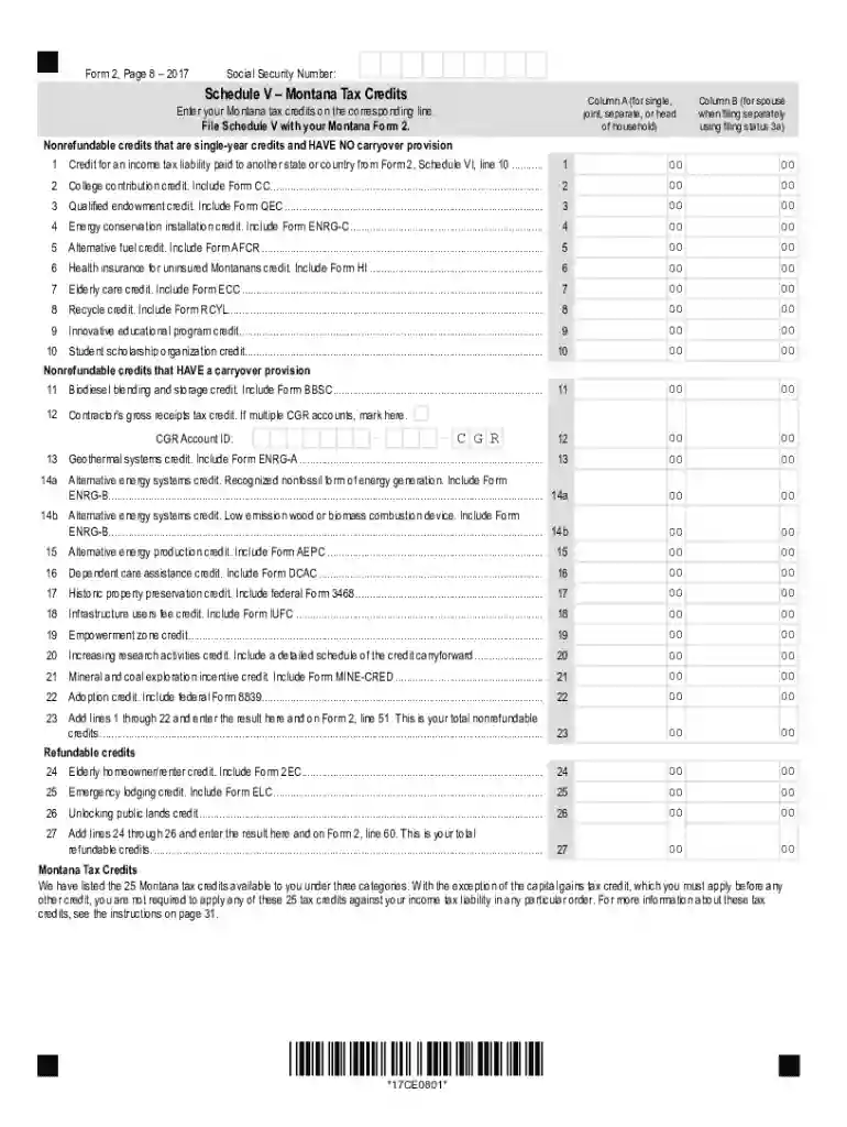 Printable 2020 Montana Form 2 Worksheet V (Tax Credits (DISCONTINUED)) Preview on Page 1