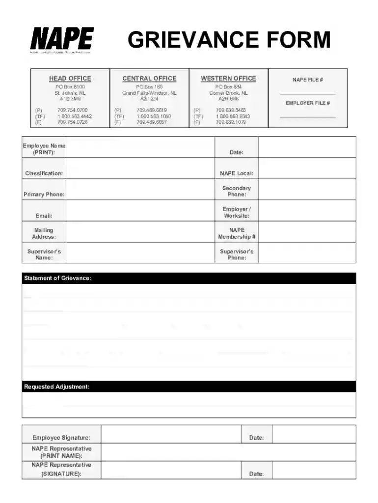 nape grievance form Preview on Page 1