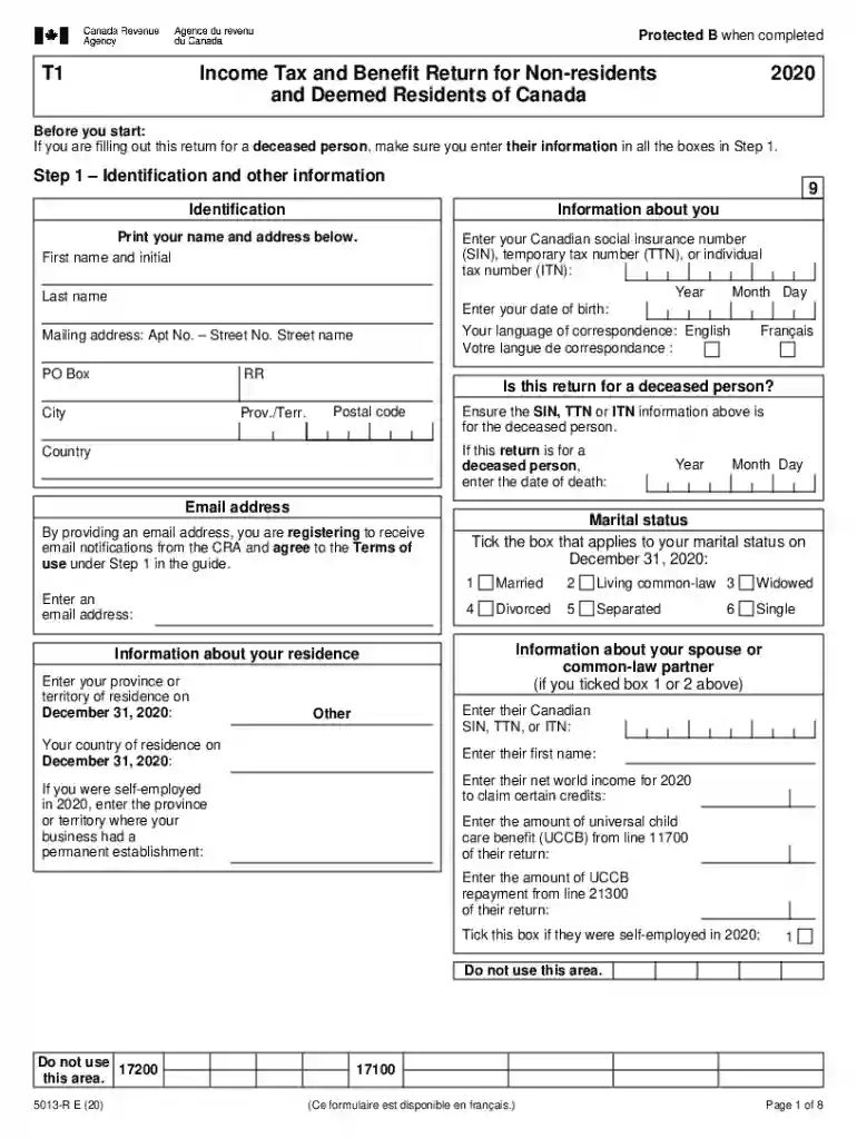 5013 form Preview on Page 1