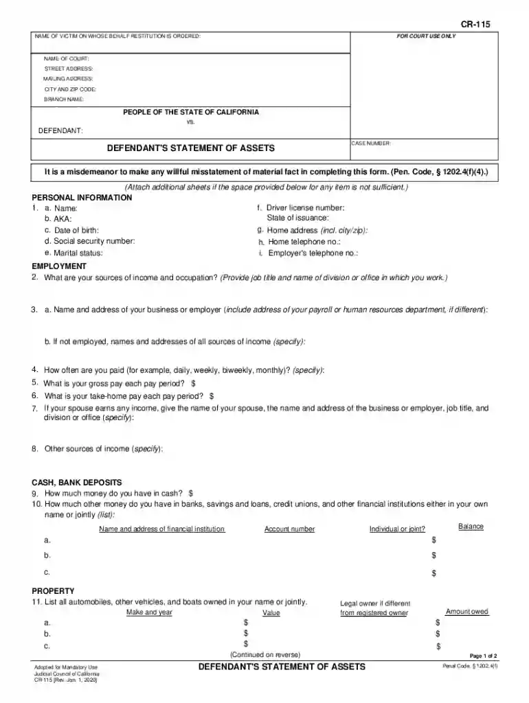 declaration of no assets Preview on Page 1