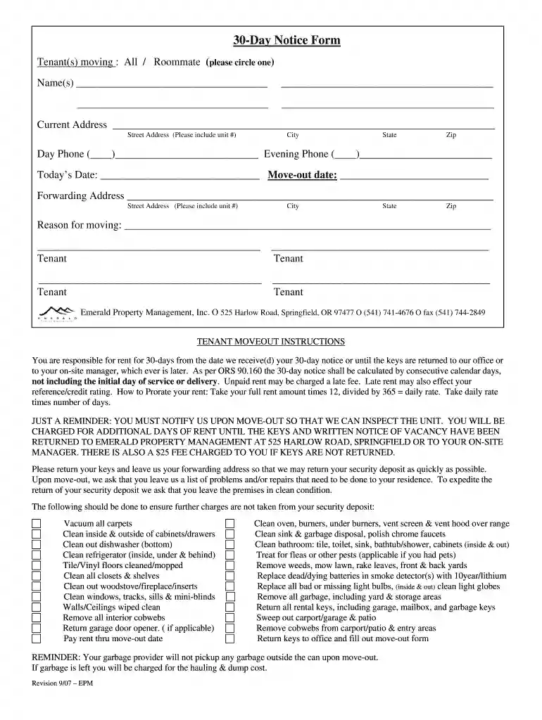 form b307 2007 Preview on Page 1