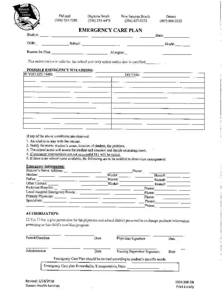 emergency care plan form Preview on Page 1
