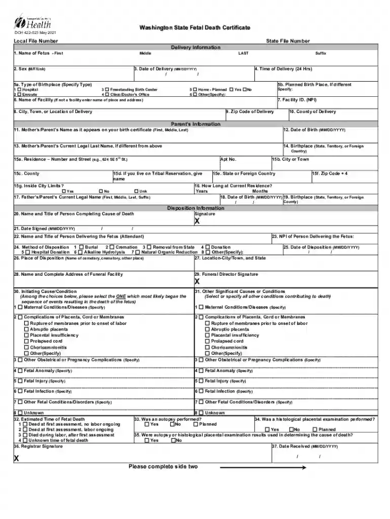 fetal death certificate Preview on Page 1