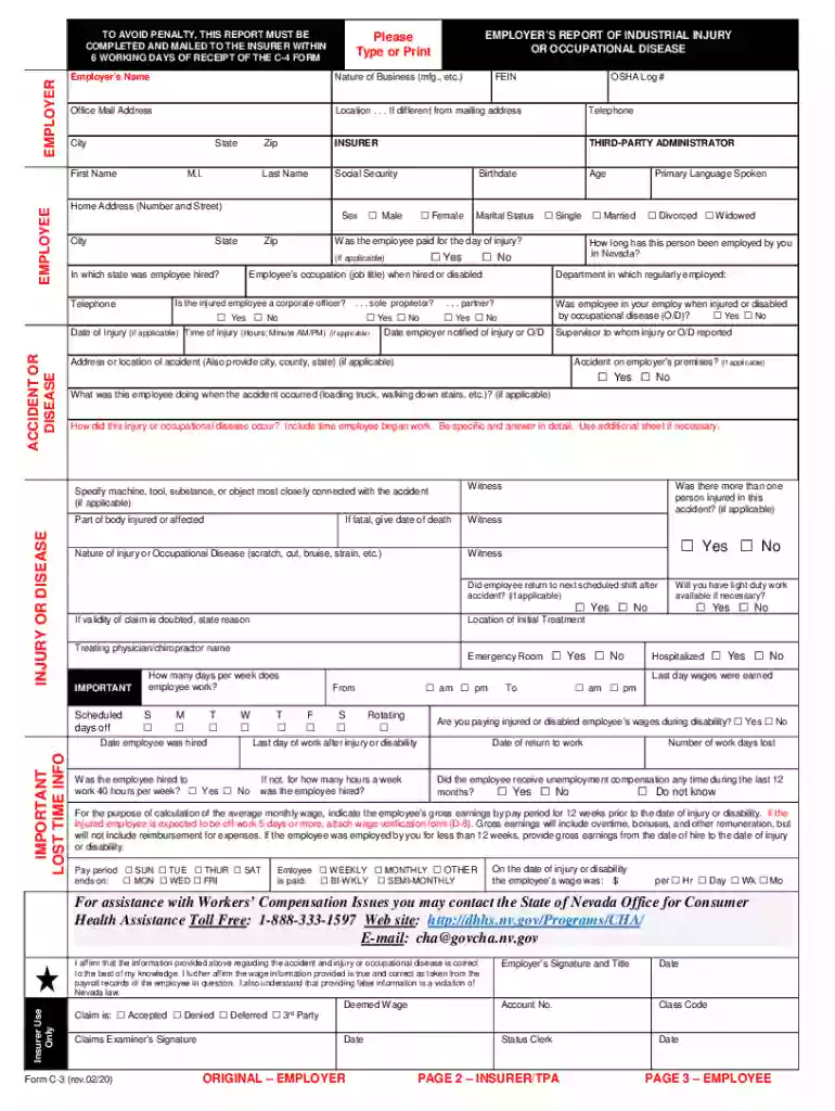 nevada c 3 form Preview on Page 1