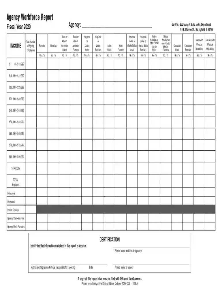 illinois agency i secretary Preview on Page 1