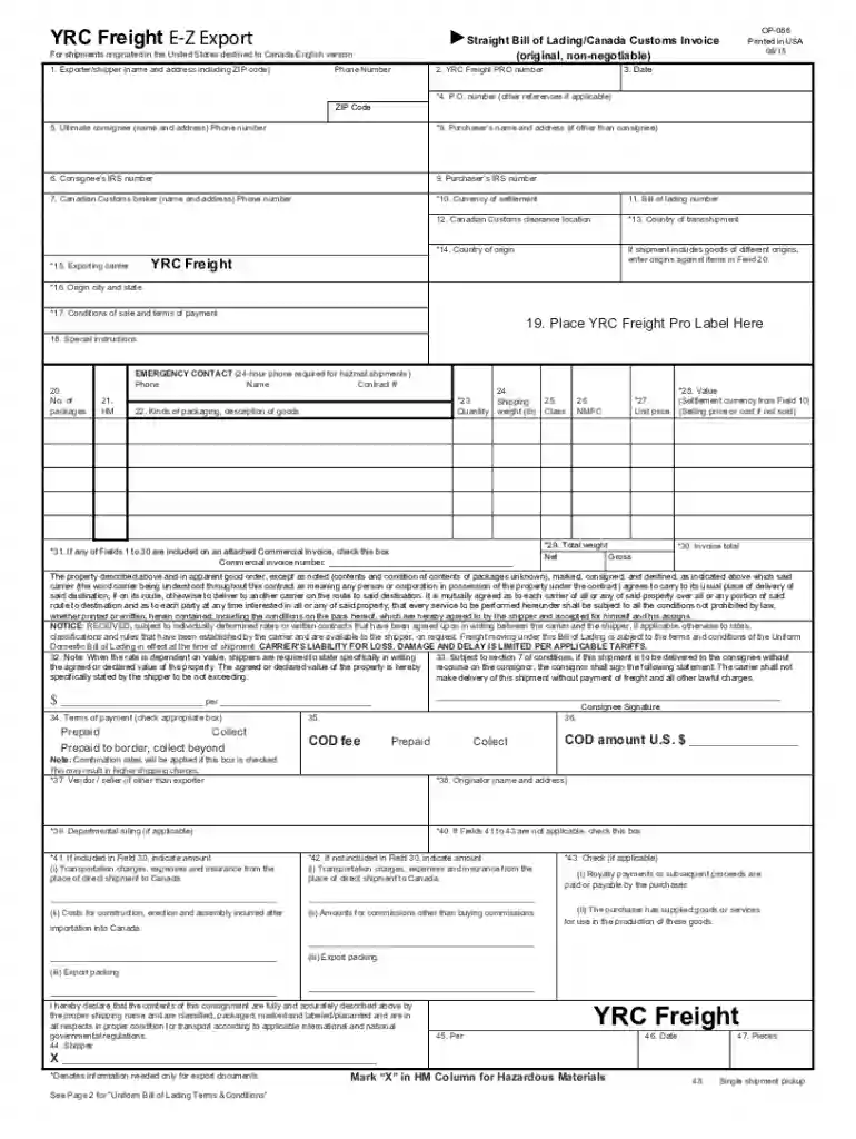 customs information Preview on Page 1
