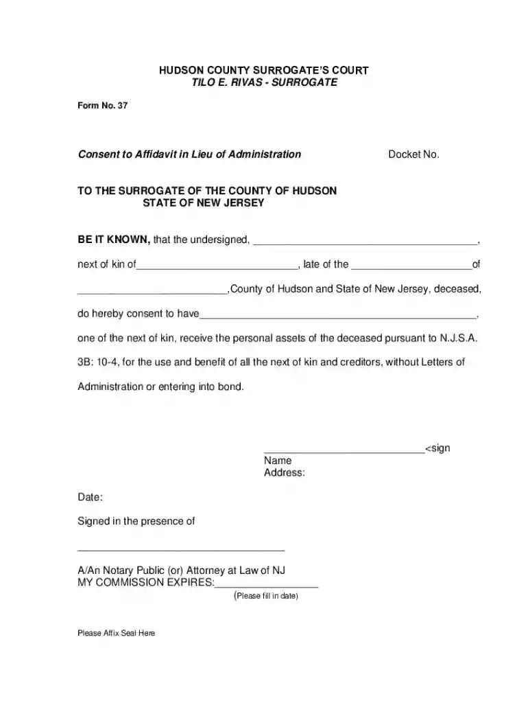 HUDSON COUNTY SURROGATES COURT Preview on Page 1