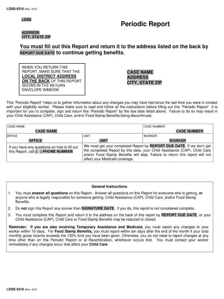 snap periodic report online Preview on Page 1
