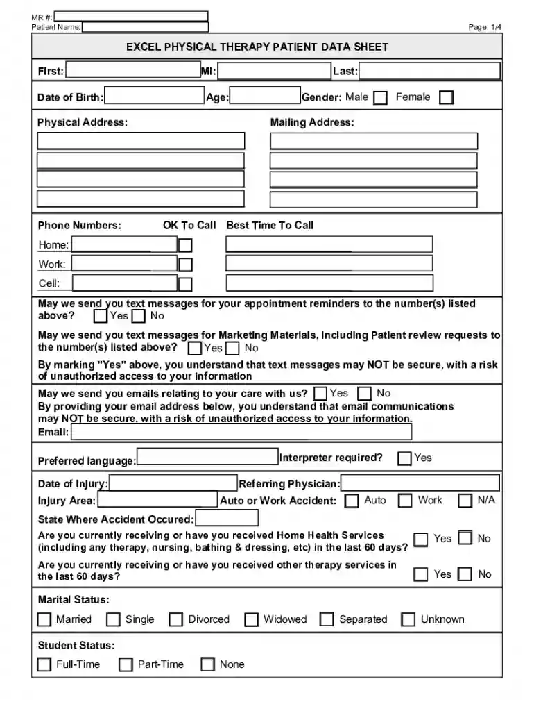 excel patient data sheet Preview on Page 1