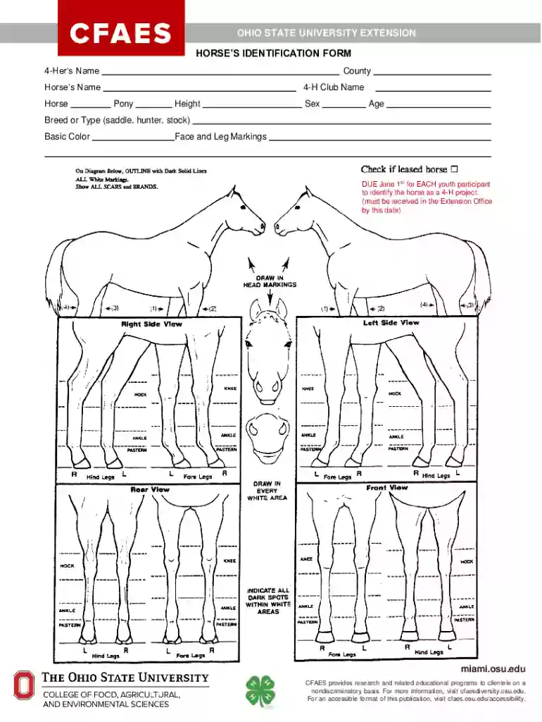 horse identification chart Preview on Page 1