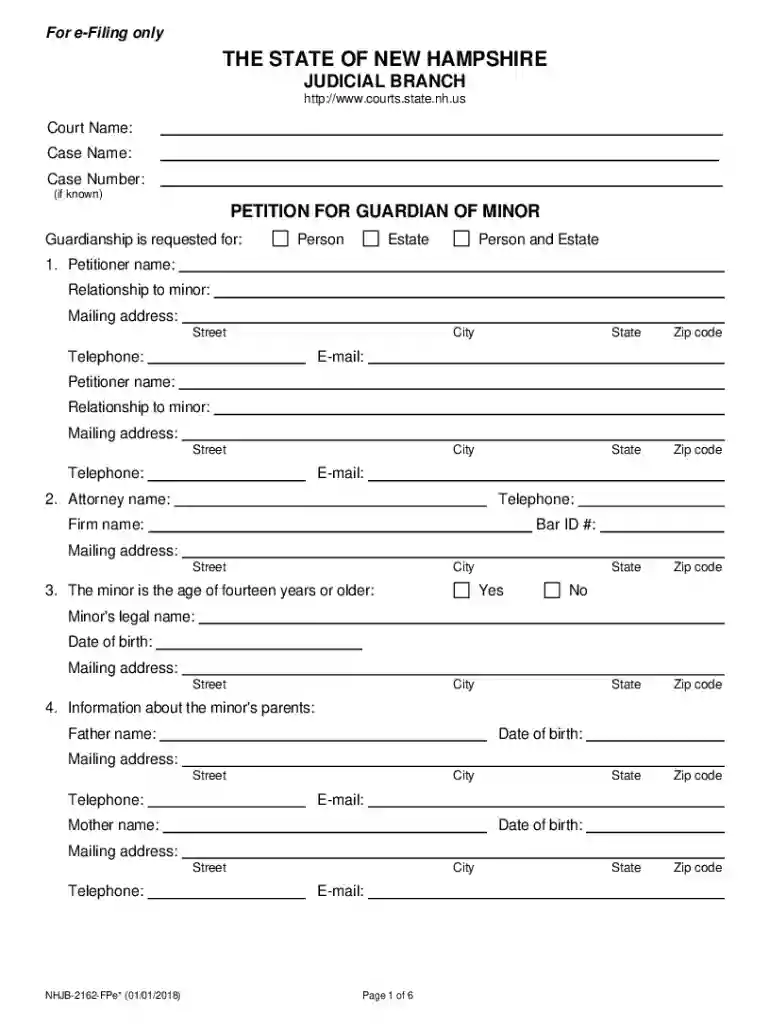 nh guardianship forms Preview on Page 1