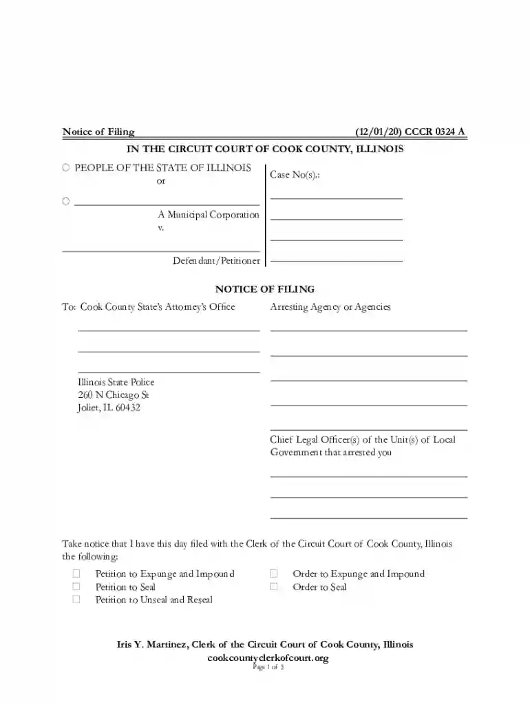 Notice of Filing ( ) CCCR 324 A IN THE CIRCUIT COURT OF ... Preview on Page 1