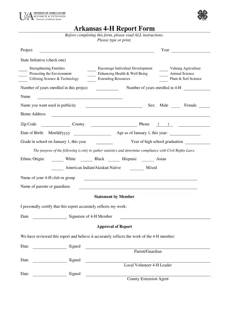 4 h report form Preview on Page 1