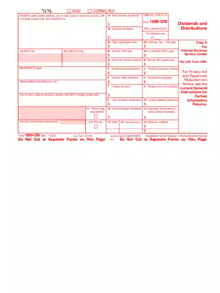 2022 1099 div Preview on Page 1