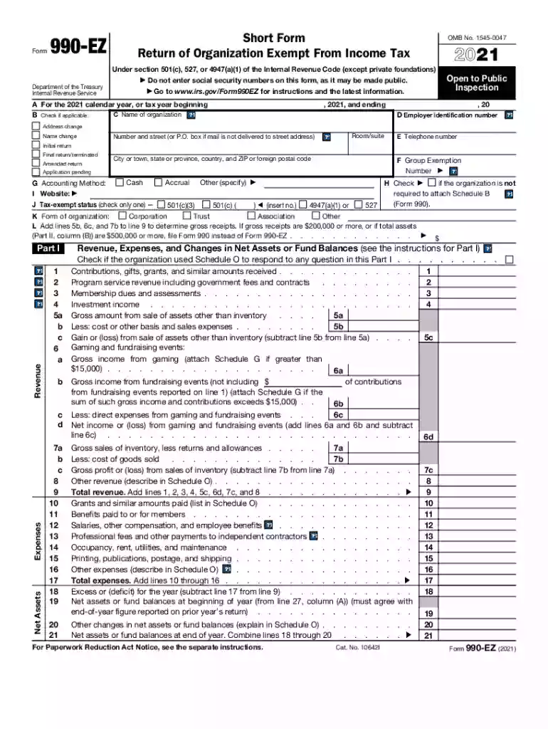 990 ez form 2021 Preview on Page 1