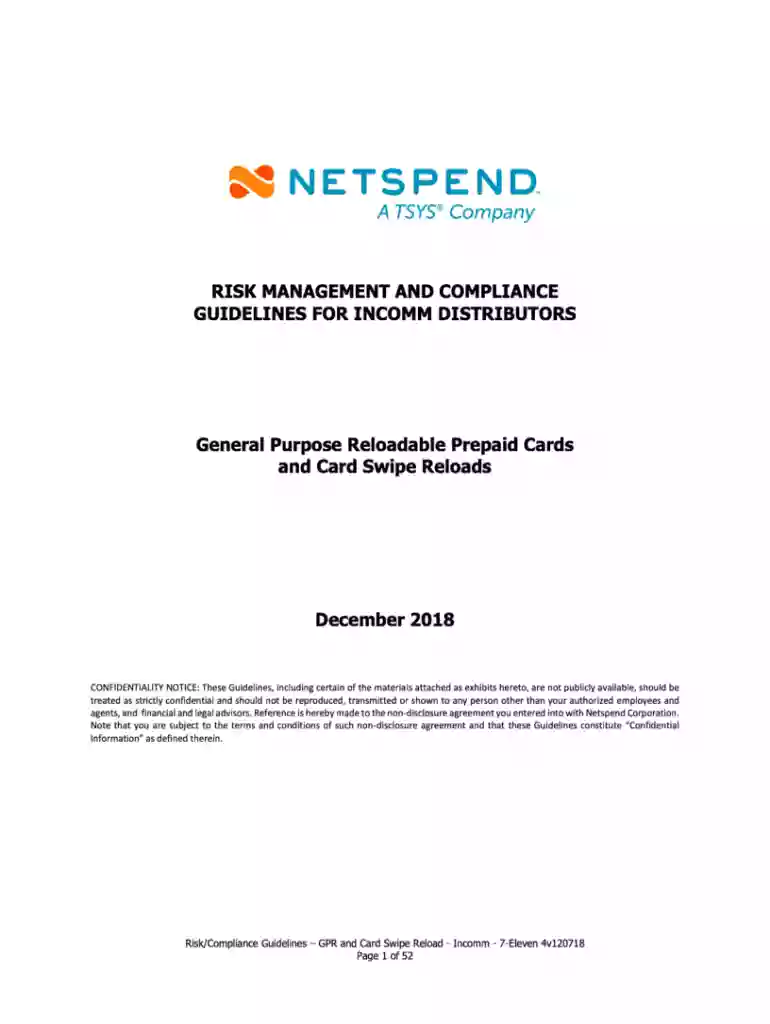 netspend risk management Preview on Page 1