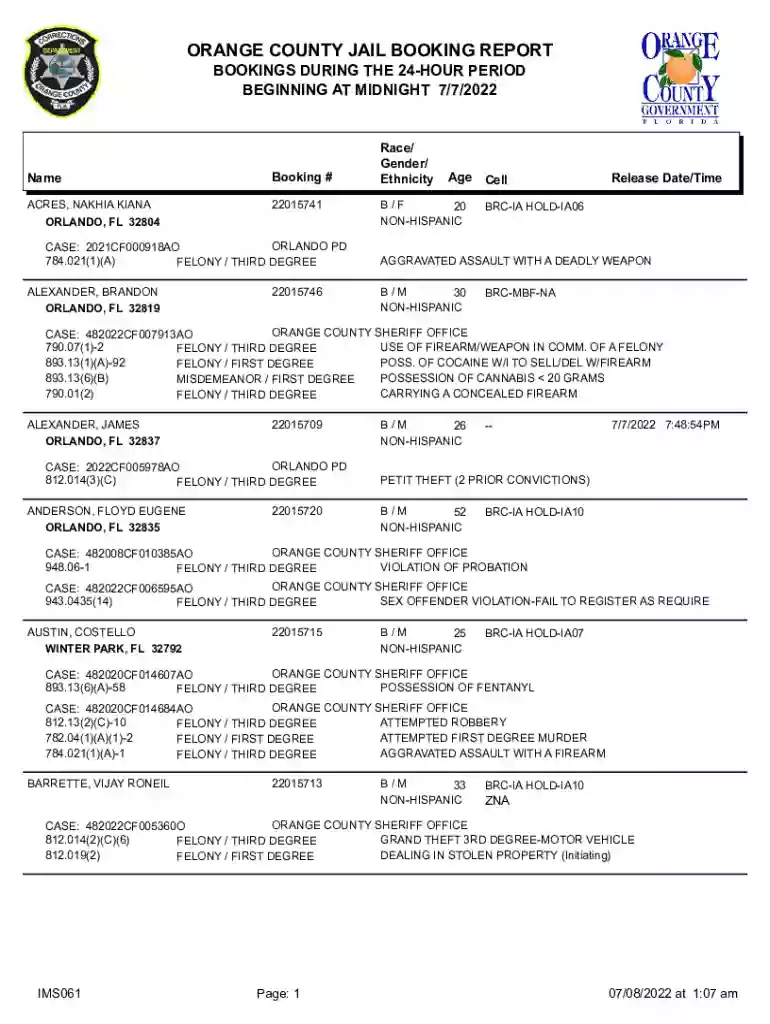 orange county booking report Preview on Page 1