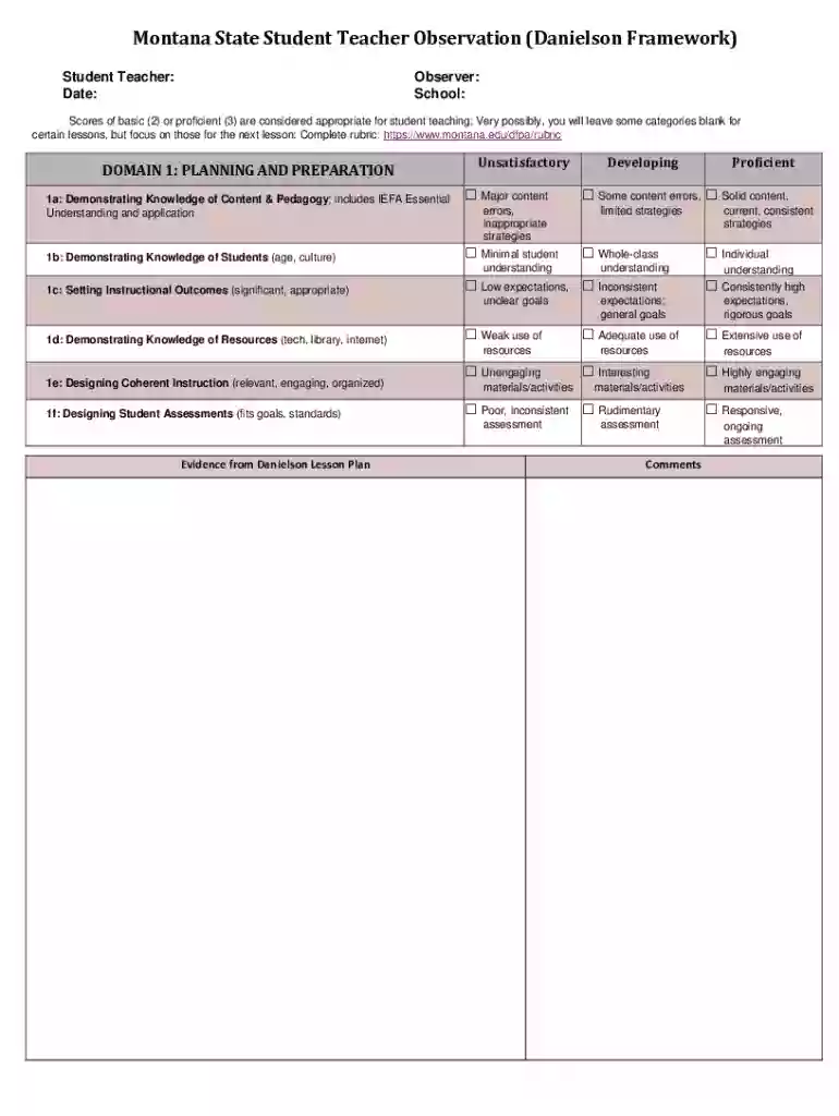 Danielson Framework Observation Tool Preview on Page 1