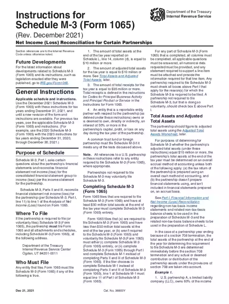 1065 schedule m 3 instructions Preview on Page 1