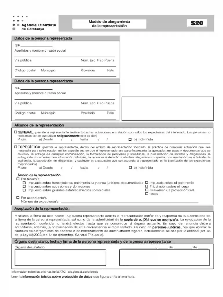 Modelo De Otorgamiento De La Representaci n Preview on Page 1