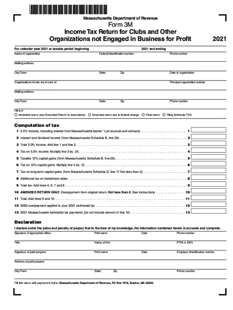 filing tax Preview on Page 1