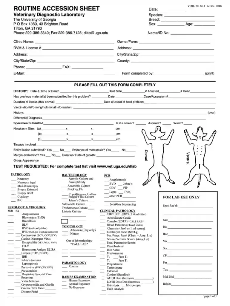 veterinary travel sheet template Preview on Page 1