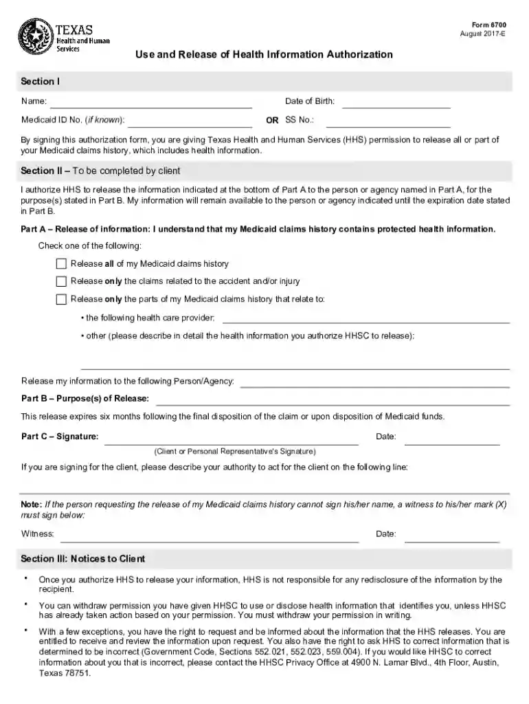form 6700 Preview on Page 1
