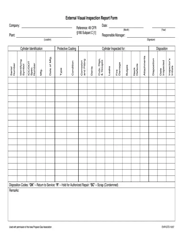 visual inspection report Preview on Page 1