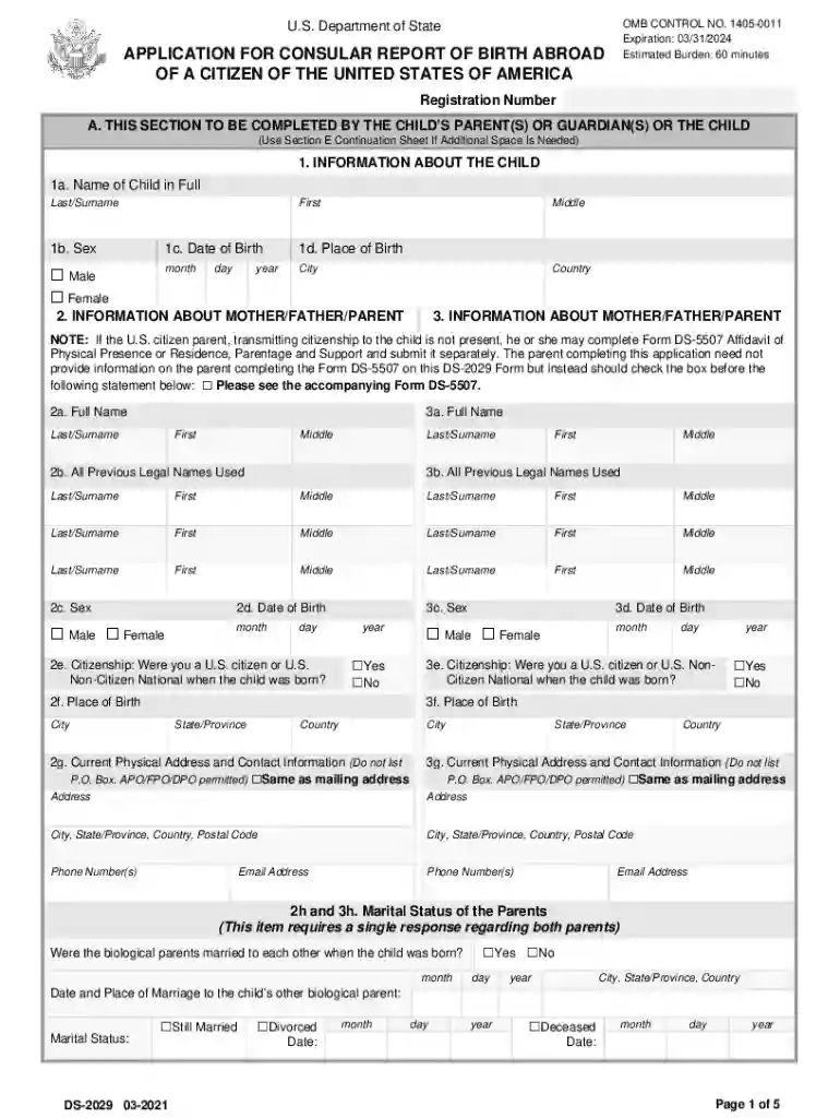 consular application Preview on Page 1