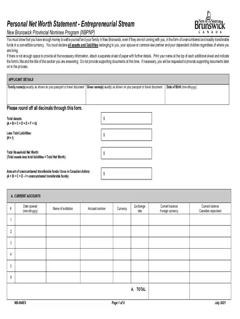canada net worth statement Preview on Page 1