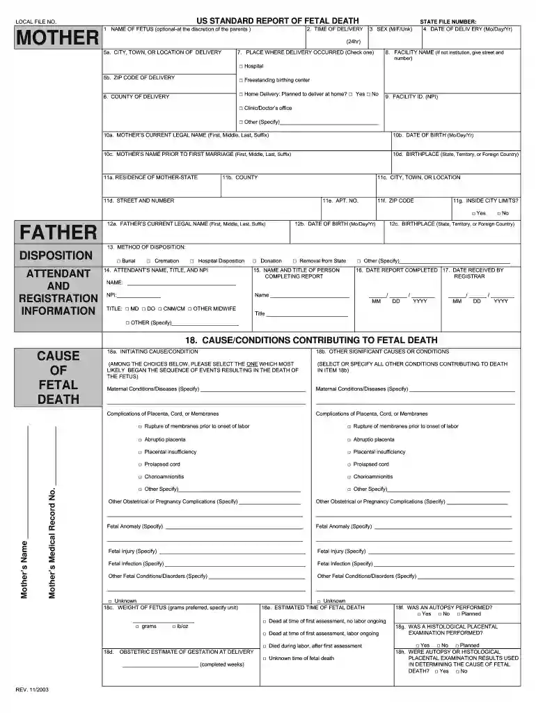 fetal death form Preview on Page 1