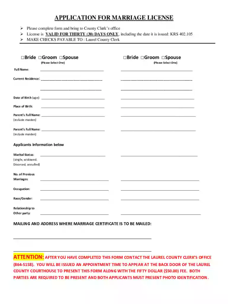 Marriage License Application - Clark County, NV Preview on Page 1