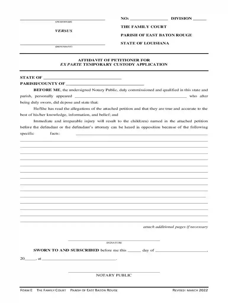ex parte custody form louisiana Preview on Page 1