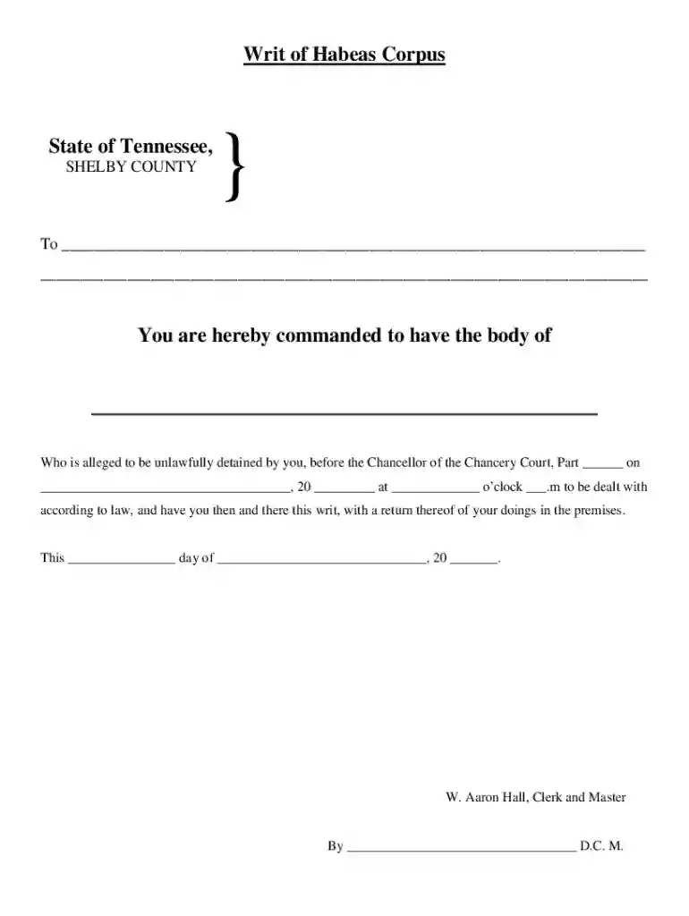 tennessee writ habeas corpus Preview on Page 1