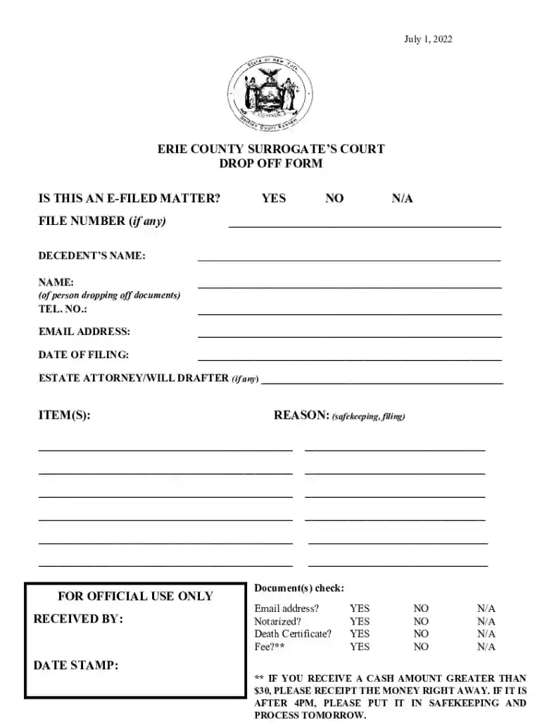 erie county surrogate court forms Preview on Page 1