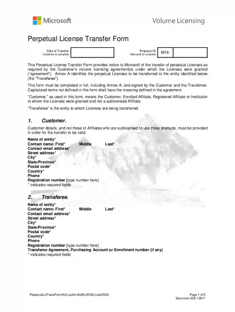 Perpetual License Transfer Form Preview on Page 1