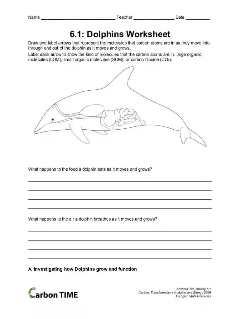 ag bio worksheet Preview on Page 1