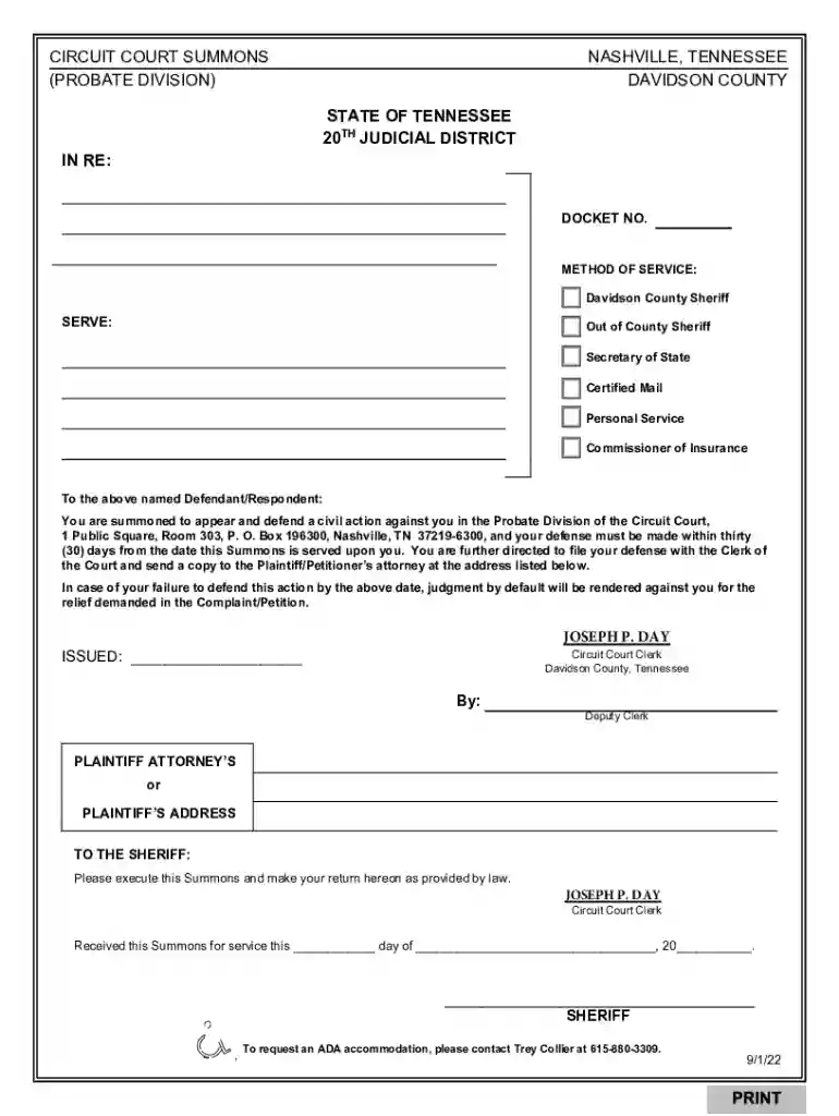 circuit court summons form Preview on Page 1